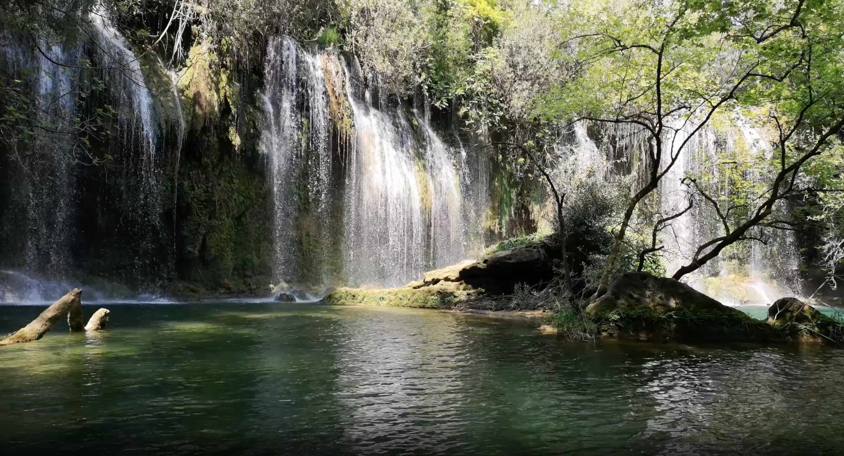 智慧湿地公园解决方案